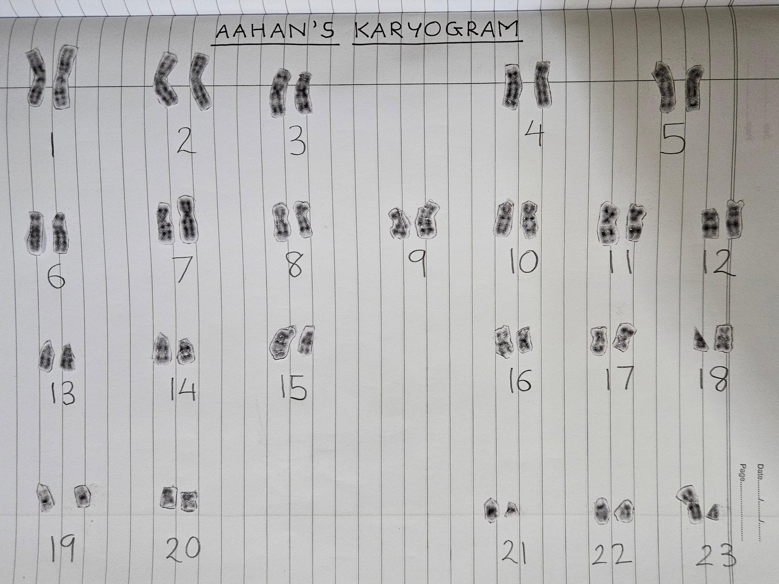 Chromosome genetics research