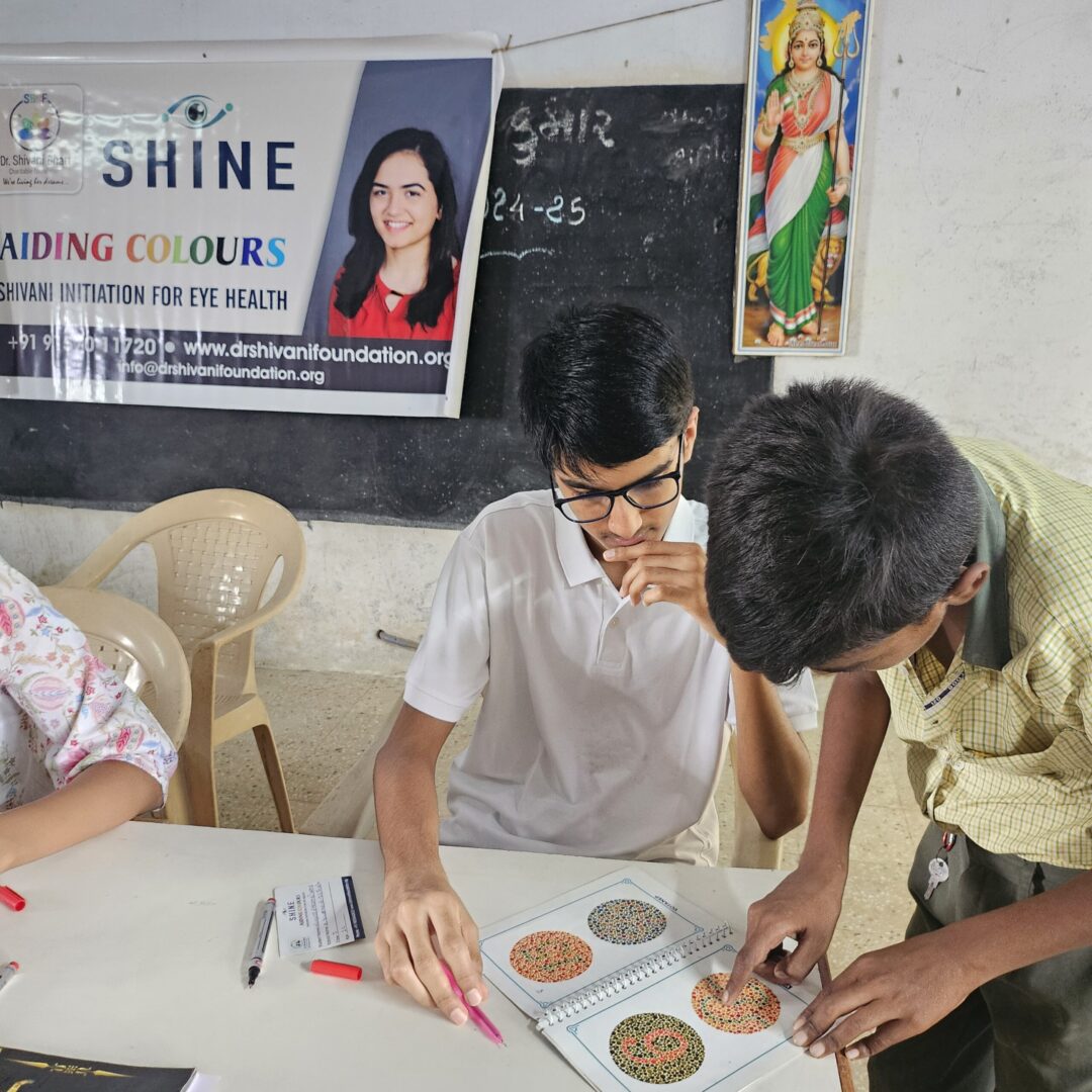 Raising Awareness: Educating Students on Colorblindness